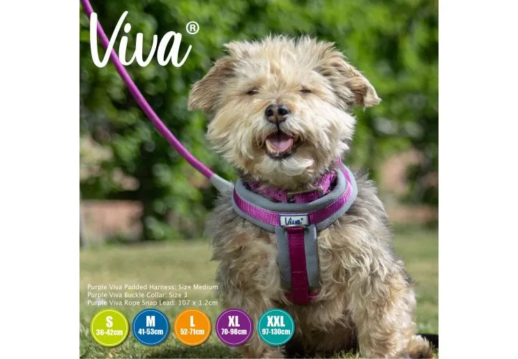 Ancol - Viva Nylon Padded Harness - Purple - Large (52-71cm)