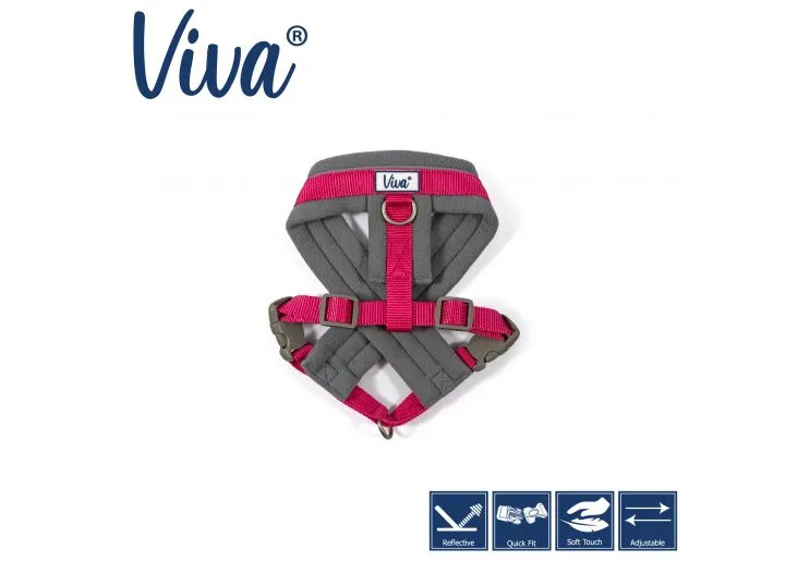 Ancol - Viva Nylon Padded Harness - Purple - Large (52-71cm)