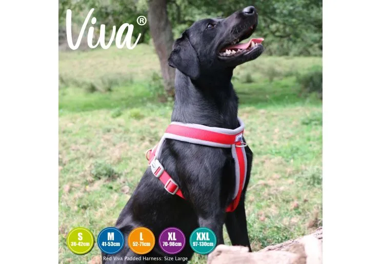 Ancol - Viva Nylon Padded Harness - Red - Small (36-42cm)