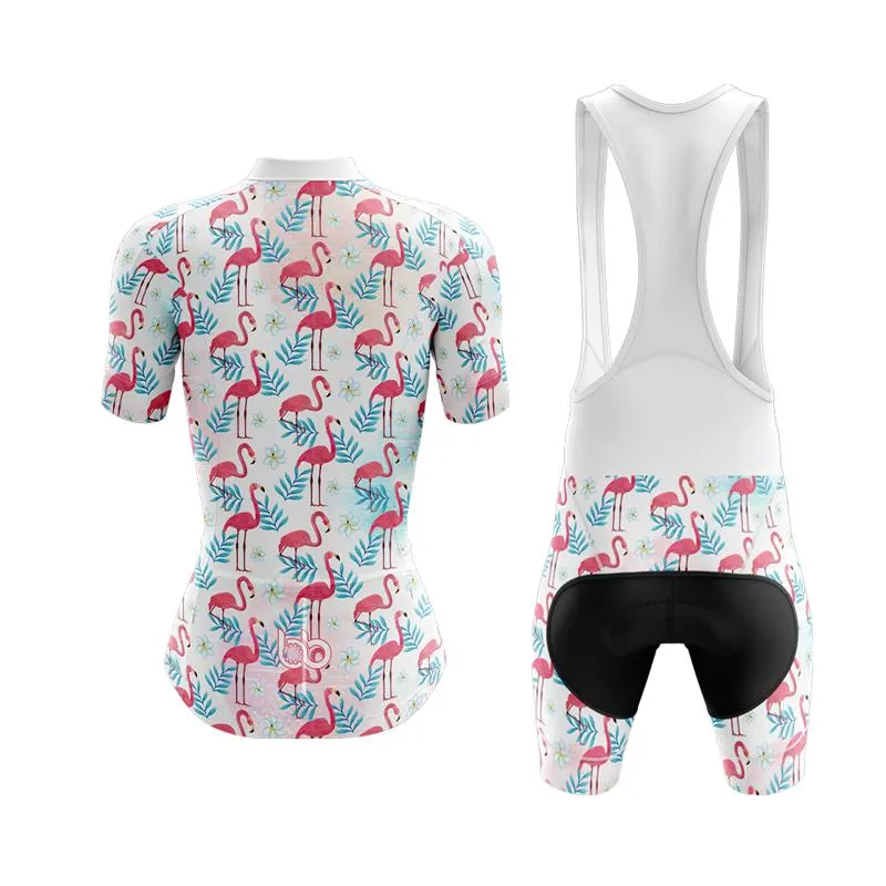 Flamingo New Club Cycling Kit (V2)